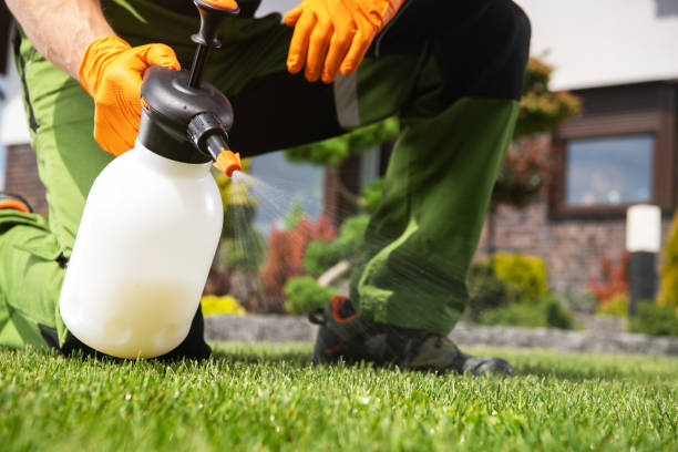 Best Pest Removal Services  in Fairwood, MD