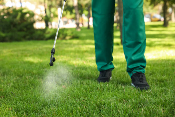 Best Residential Pest Control  in Fairwood, MD