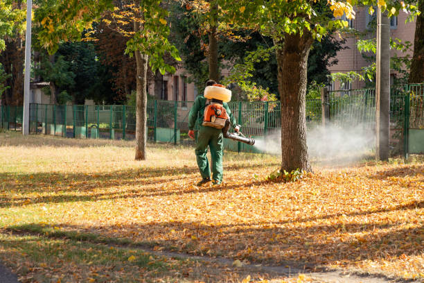 Best Affordable Pest Control Services  in Fairwood, MD