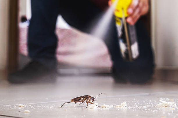 Best Pest Control Near Me in Fairwood, MD