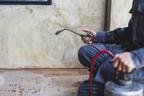 Best Emergency Pest Control  in Fairwood, MD